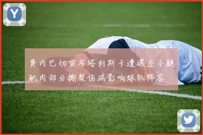 费内巴切宣布塔利斯卡遭遇左小腿肌肉部分撕裂伤病影响球队阵容